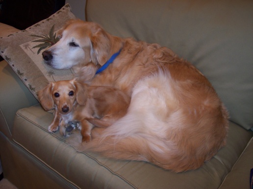 Naptime