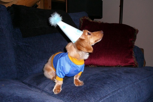 bday12.jpg