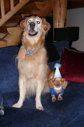 bday13.jpg