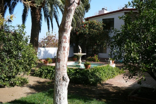 Courtyard Courtyard