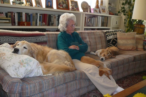 zzzzz zzzzz