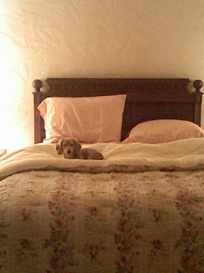 Bedtime? Bedtime?